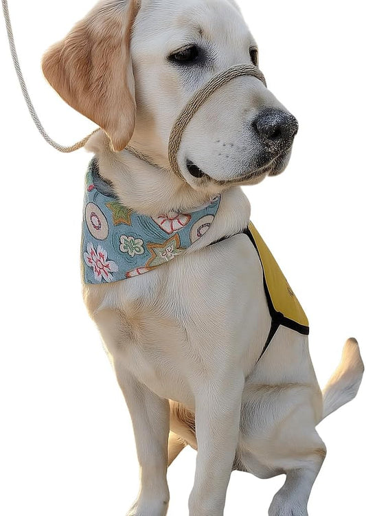 Tan dog head halter showing adjustable nylon straps
