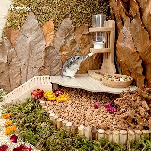 Niteangel Hamster Play Wooden Platform for Dwarf Syrian Hamsters Gerbils Mice Degus or Other Small Pets (Triangle - 5.9'' Height, Burlywood) - Image 7