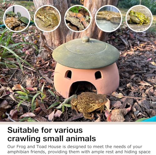 Frog and Toad House 8 x 6Inch Toad House for Outside Garden Reptile Cave Red Pottery Ceramics Small Reptile Cave Hide Reptile Hides and Caves Snake Toad Frog Turtle House Green with Lid - Image 8