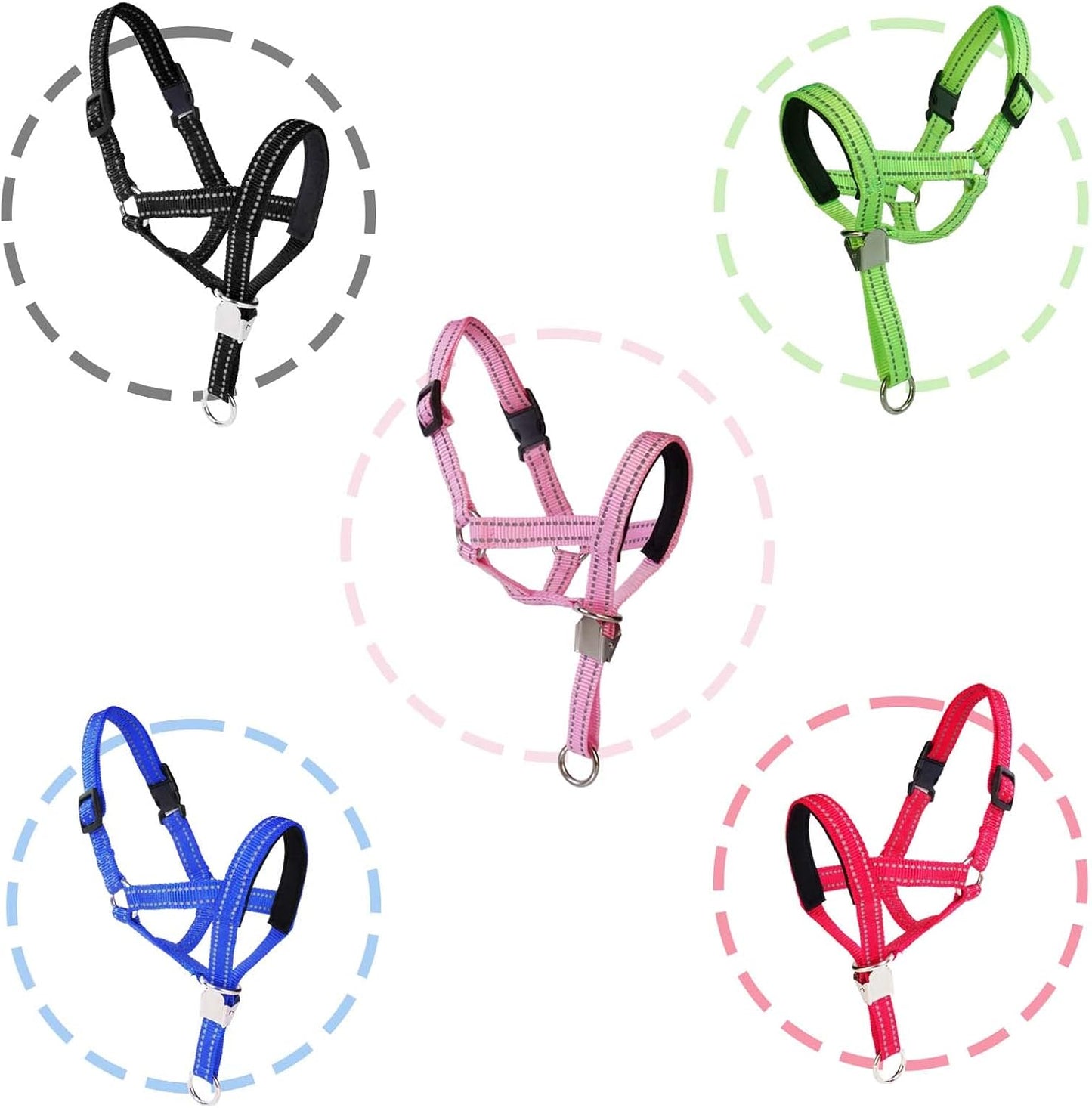 Close up of safety clip and reflective dog collar