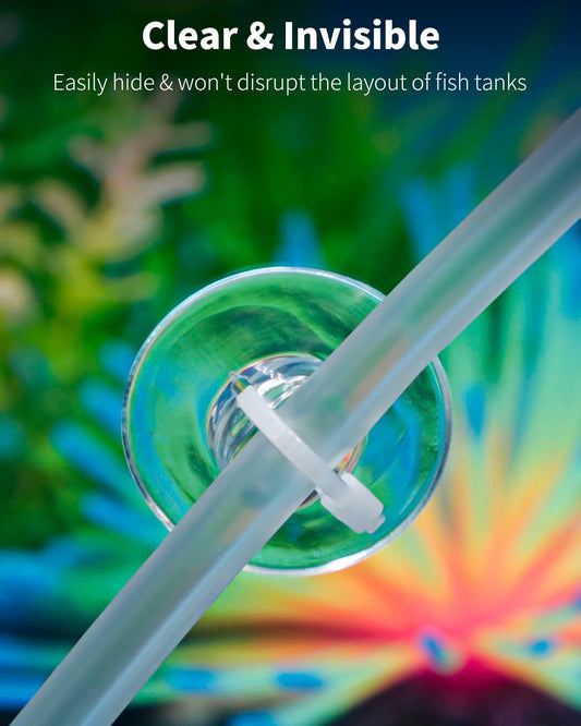 Clear suction cups with cable ties holding java moss in a planted tank.
