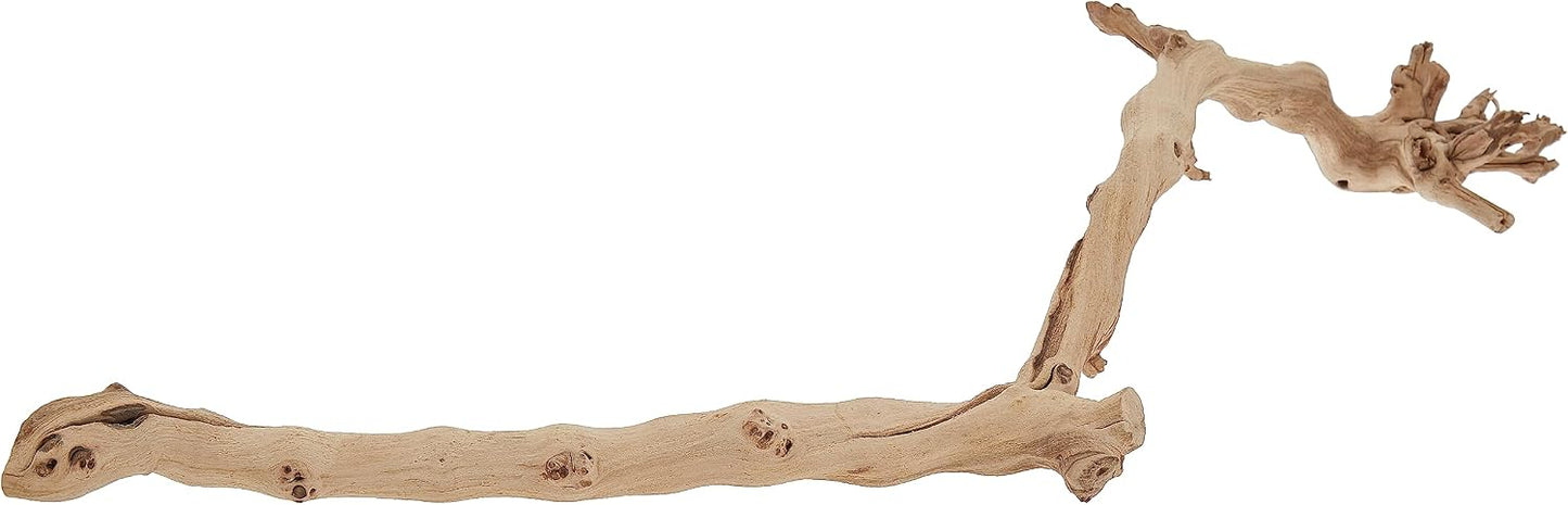Authentic Exo Terra heat-treated branch for arboreal pets