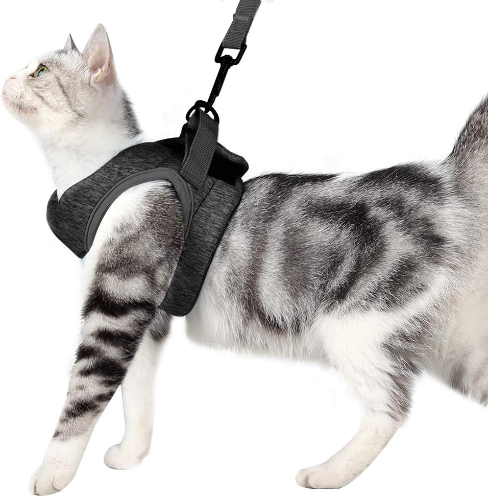 HEYWEAN Cat Harness and Leash - Ultra Light Escape Proof Kitten Collar Cat Walking Jacket with Running Cushioning Soft and Comfortable Suitable for Puppies Rabbits - Image 14