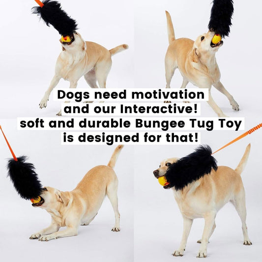 HOWGO purple long dog rope toy with shock absorbing climbing grade bungee handle