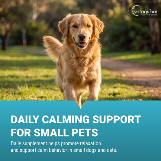 Vetoquinol Zylkene behavior support 14 capsules box showing dosage instructions for small dogs and cats