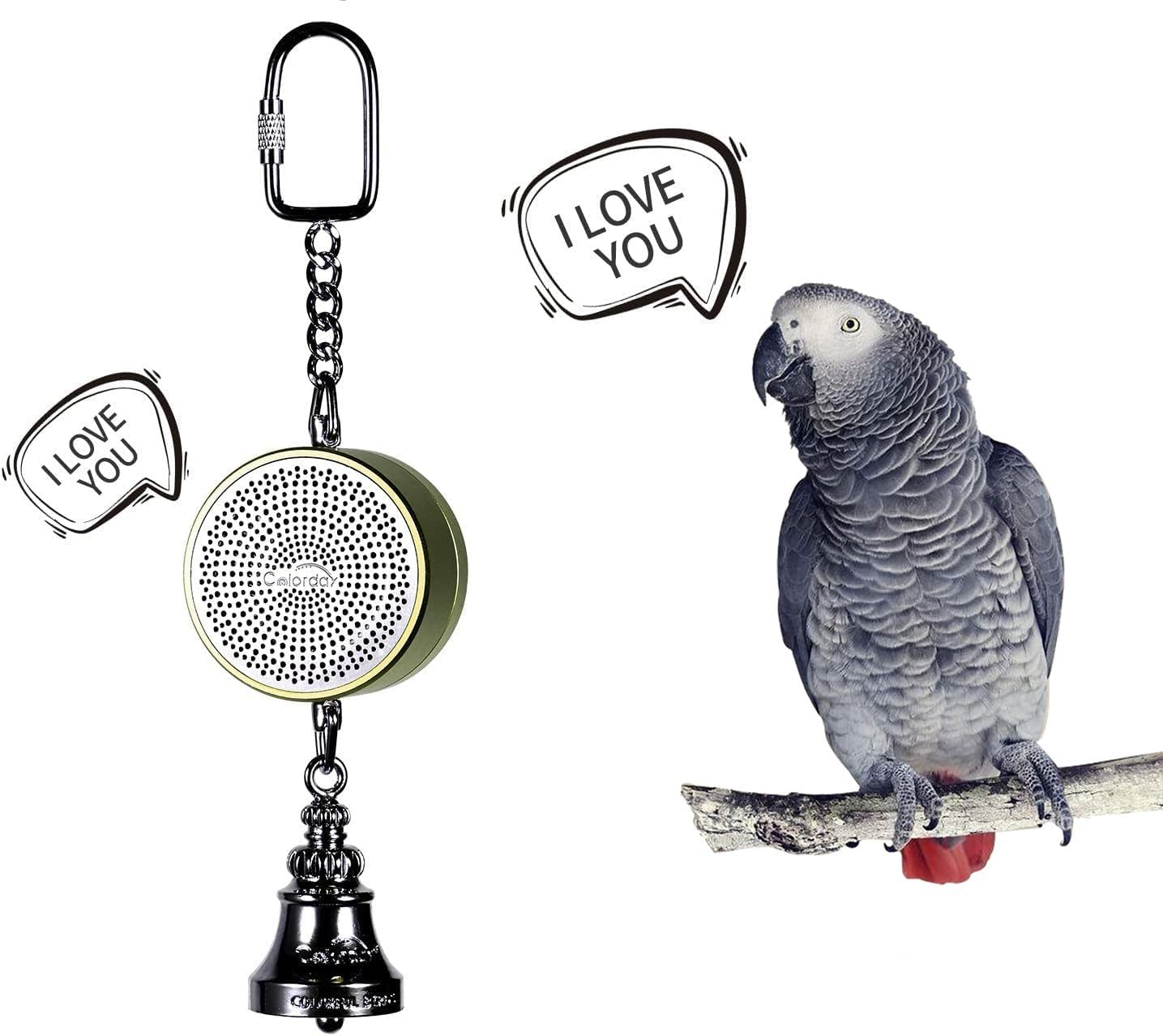 Colorday language learning bird toy close up of the metal play bell