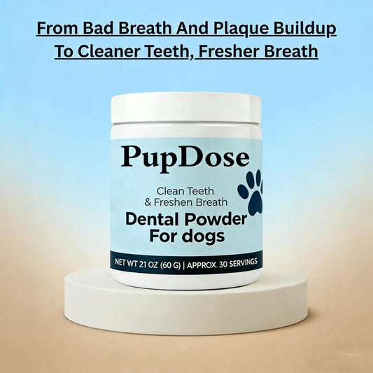 PupDose dog teeth cleaning powder supplement mixed in pet food
