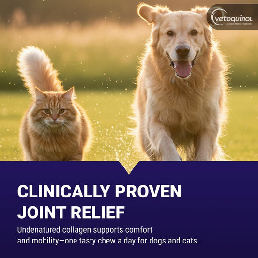 Vetoquinol joint support soft chews for dogs and cats nutritional label