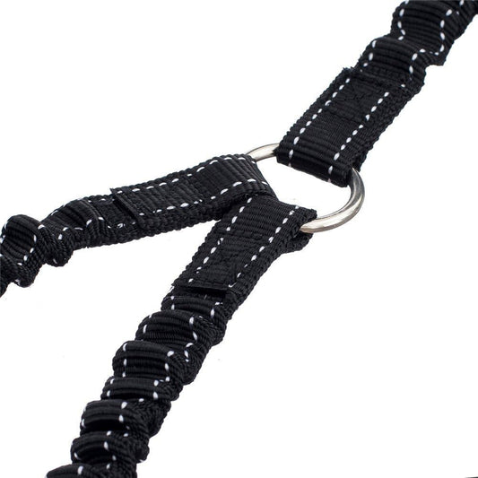 STGOOD no tangle pet lead extension demonstrating the shock absorbing elastic bungee stretching mechanism