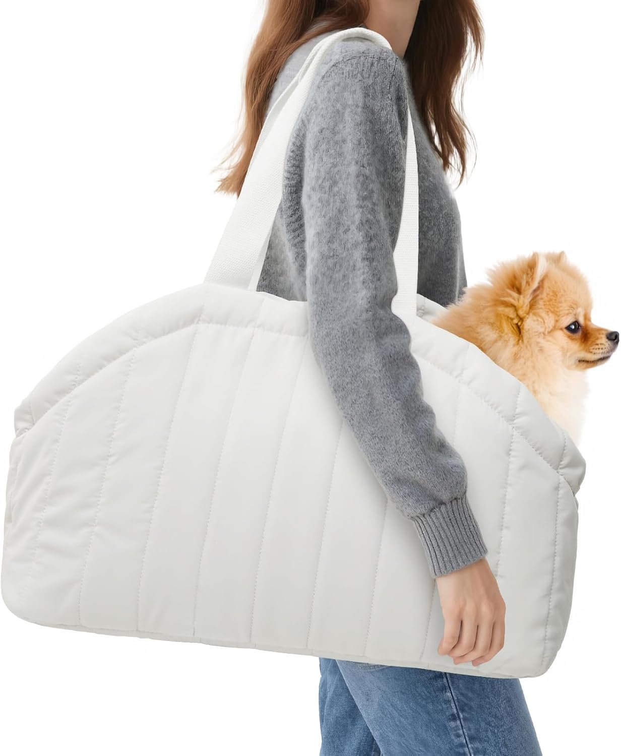 Small dog resting inside Tranquitas purse carrier