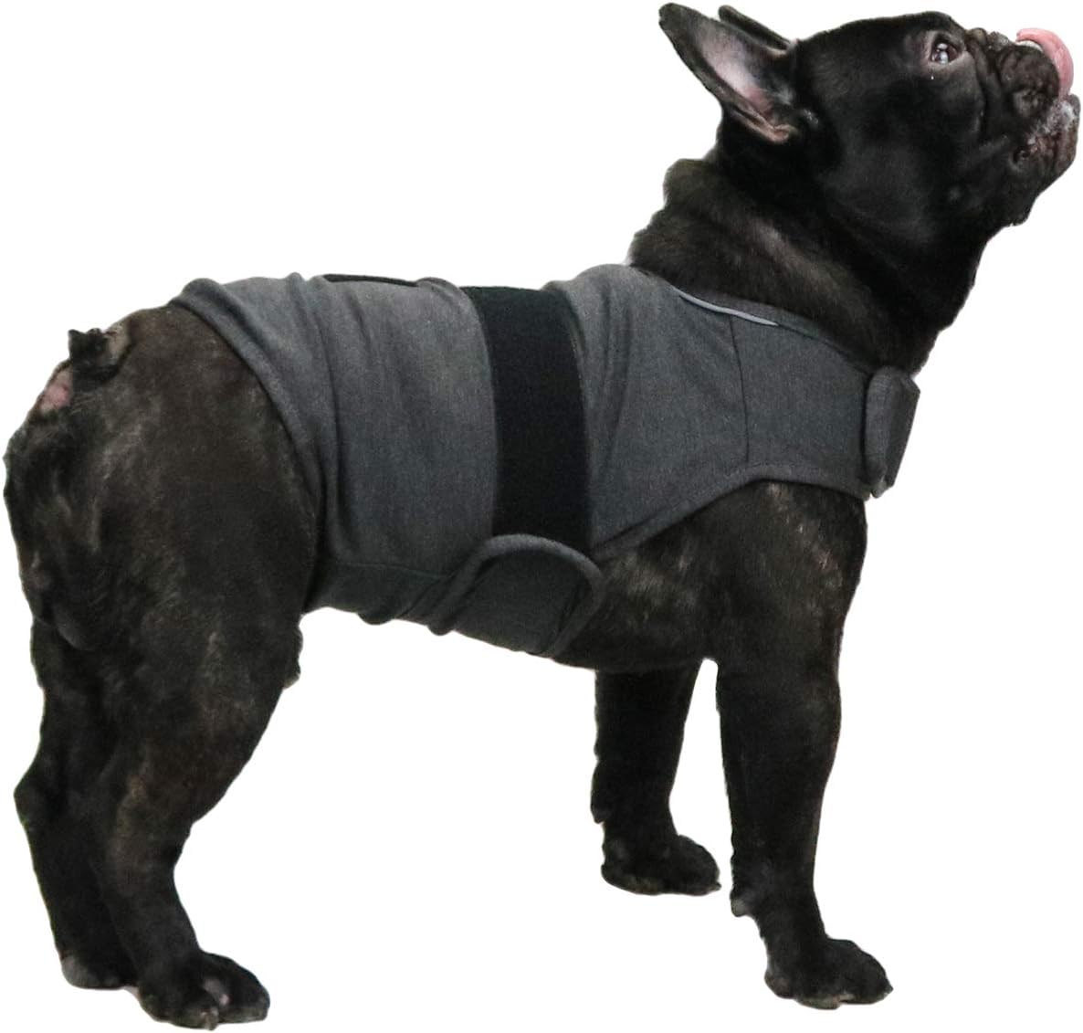Comfort Dog Anxiety Relief Coat, Dog Anxiety Calming Vest Wrap for Thunderstorm,Travel,4th of July Fireworks,Vet Visits,Separation Anxiety Relief for Dogs (S, Rose) - Image 15