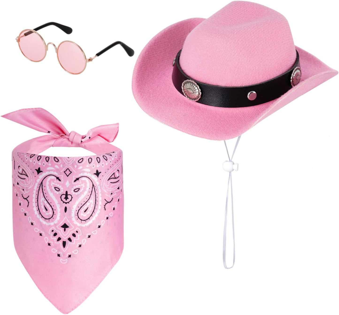 Full set of western themed pet accessories on display