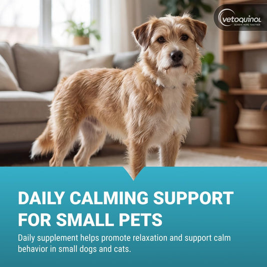 Vetoquinol Zylkene seventy five milligram supplement packaging for small dogs and cats
