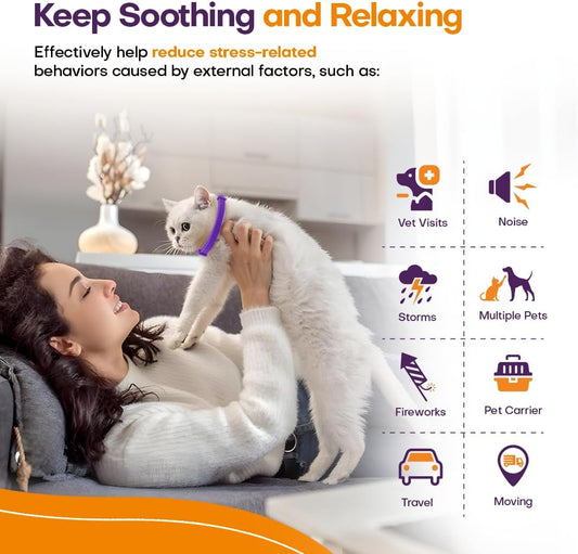 Adjustable purple pheromone collar for cats displayed alongside lavender flowers.