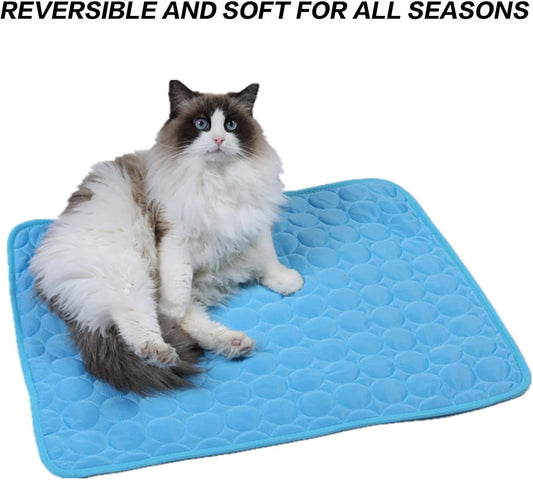 Domestic tabby cat with green eyes lounging comfortably on the light blue cat cooling pad