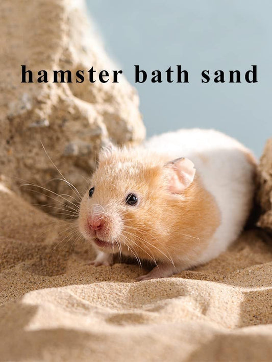 Jfwod dust-free desert sand pouring into a hamster bath tub