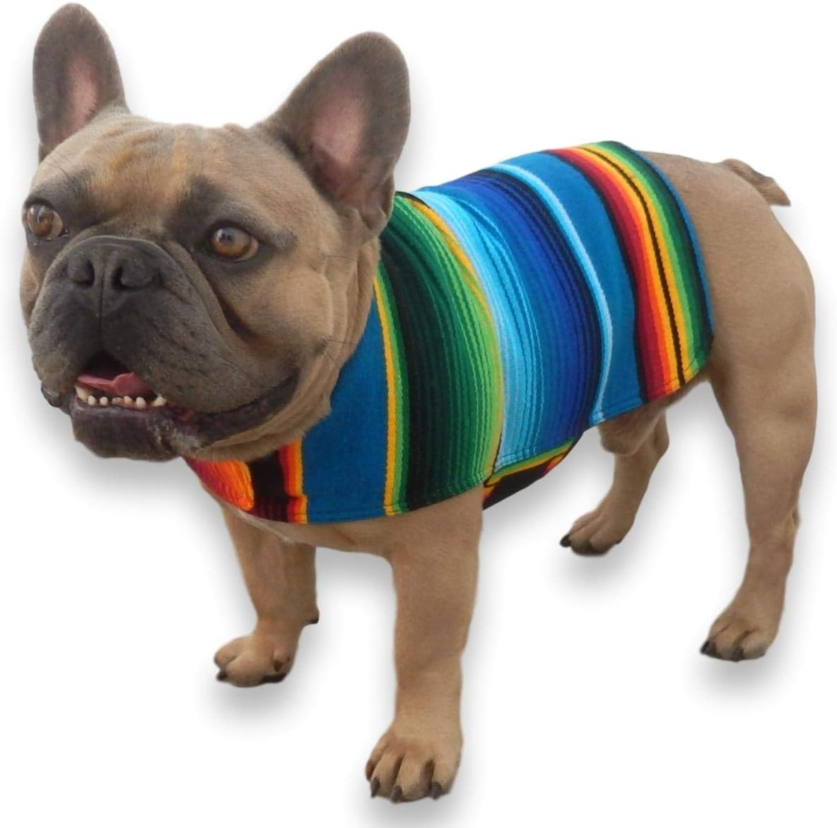 Dog Clothes - Handmade Dog Poncho from Authentic Mexican Blanket by Baja Ponchos (Blue, Small) - Image 15