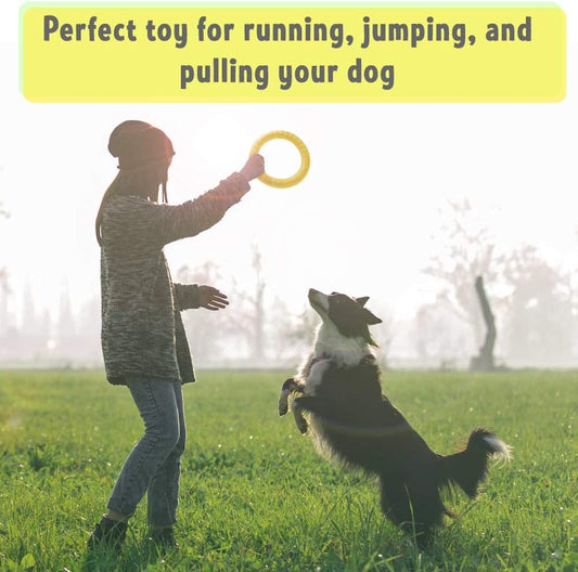 PetSpy floating dog training ring in water