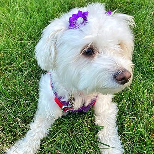 Yaka brand pet hair bows packaged in 40 piece set