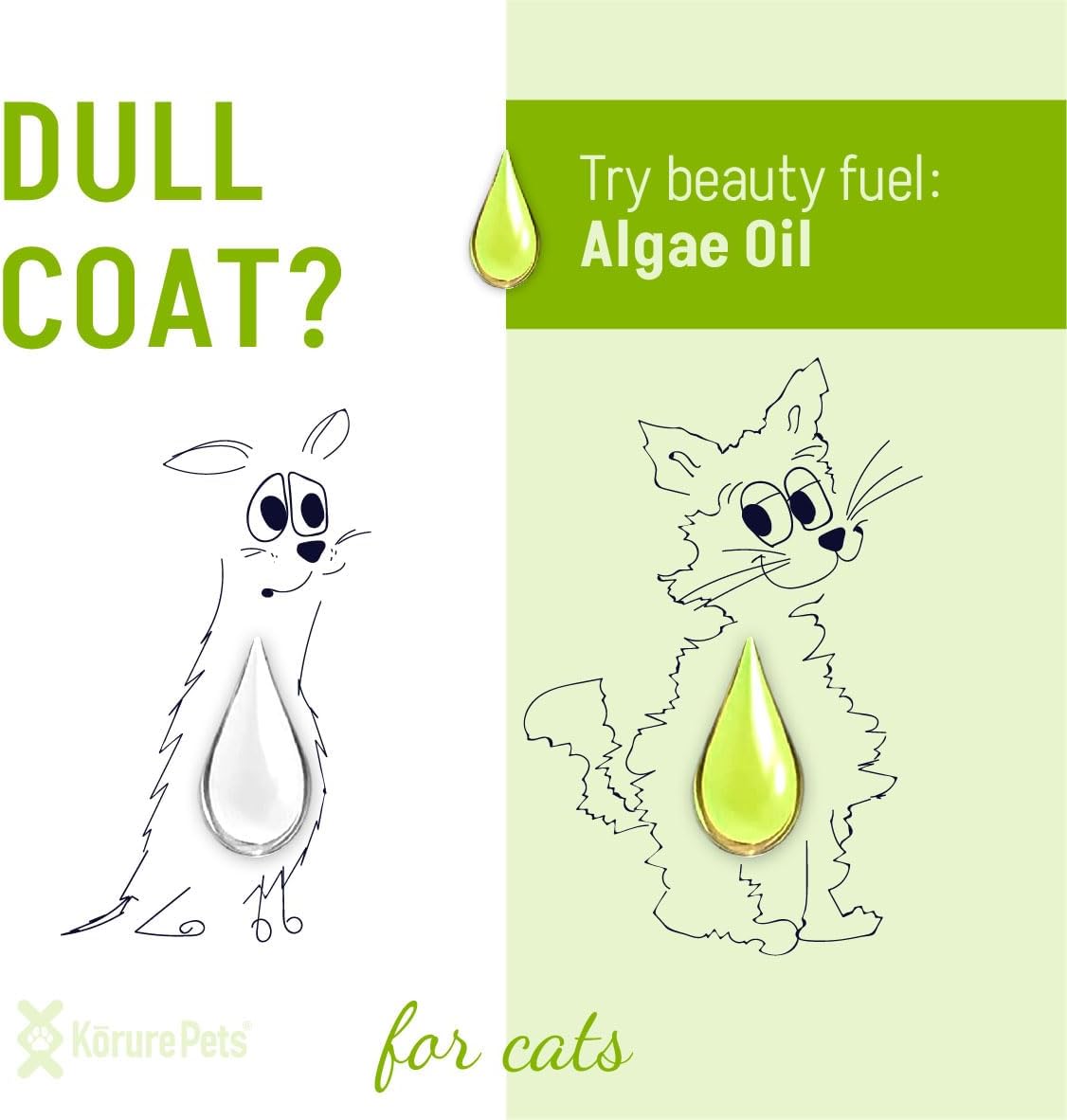 Authentic imported Korure Pets cat algae oil packaging overview