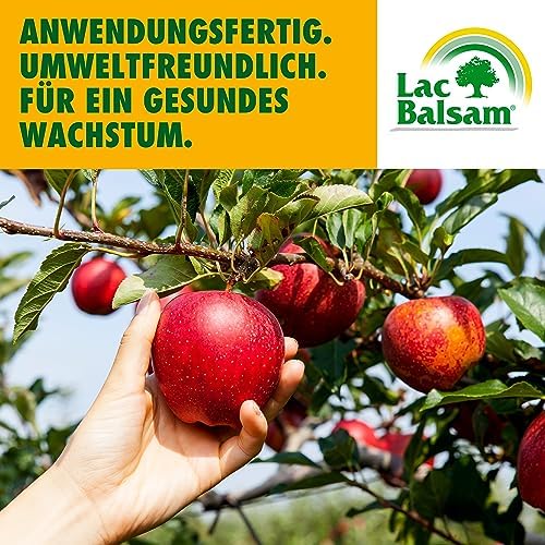 Etisso LacBalsam tree wound sealant displaying the premium European brand branding details.