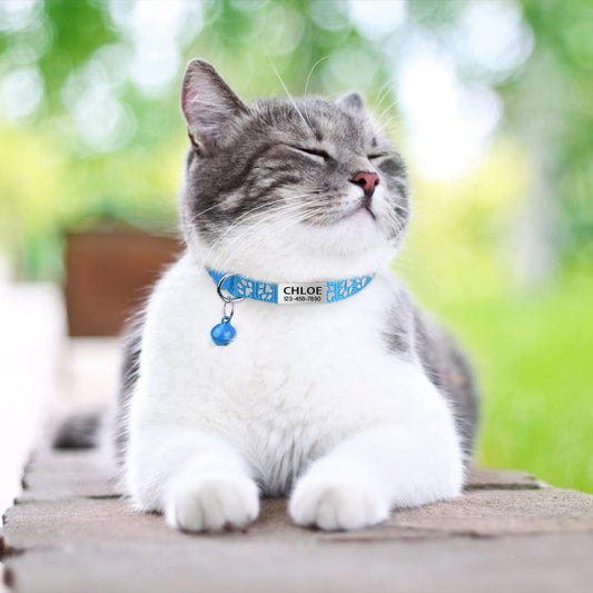 TagME cat collar with laser engraved stainless steel nameplate closeup