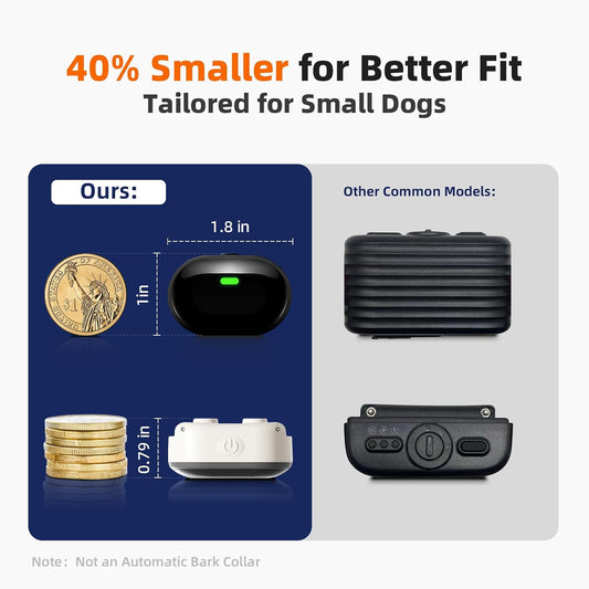 Small dog wearing Chupolik slim training collar