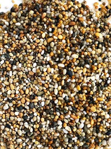 Side by side comparison of Aqua Natural Gold Pearl grain size