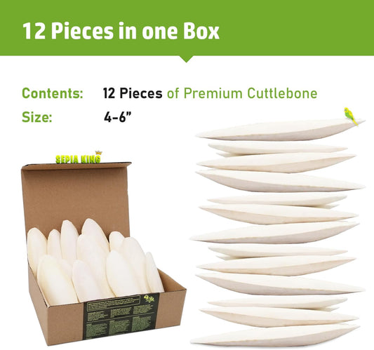 Sepia King pure cuttlefish bone for birds and reptiles showing soft texturized side