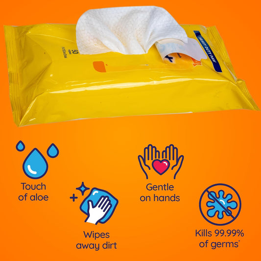 Wet Ones thick dog cleaning wipes package showing the Wet Lock Seal