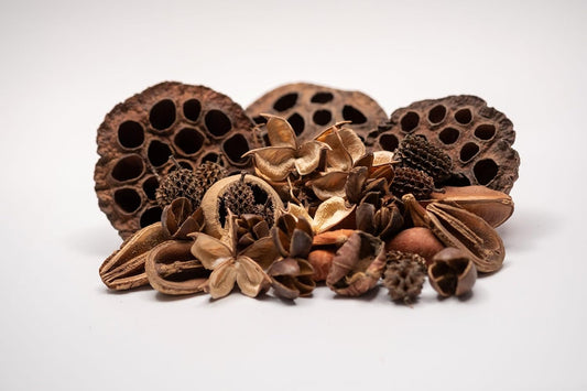 Dried lotus seed pods and cones for shrimp tank decoration