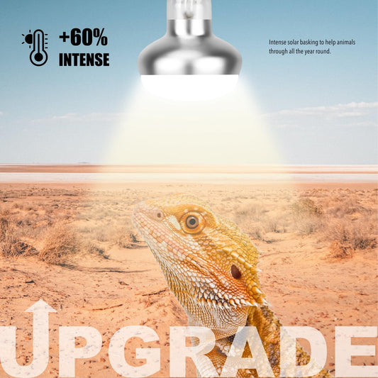 Lucky Herp 75W intense basking light twin pack packaging showing reptile daylight bulbs.