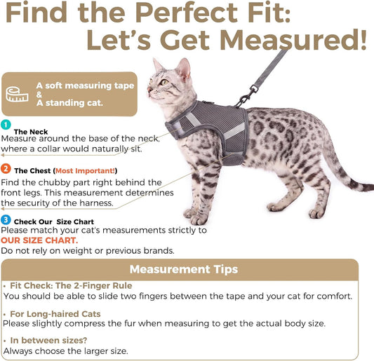 Grey extra large kitten harness flat open no head pull design