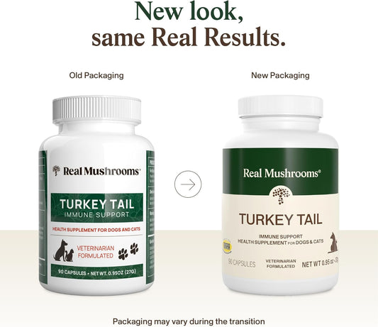 Real Mushrooms Turkey Tail pet supplement bottle label