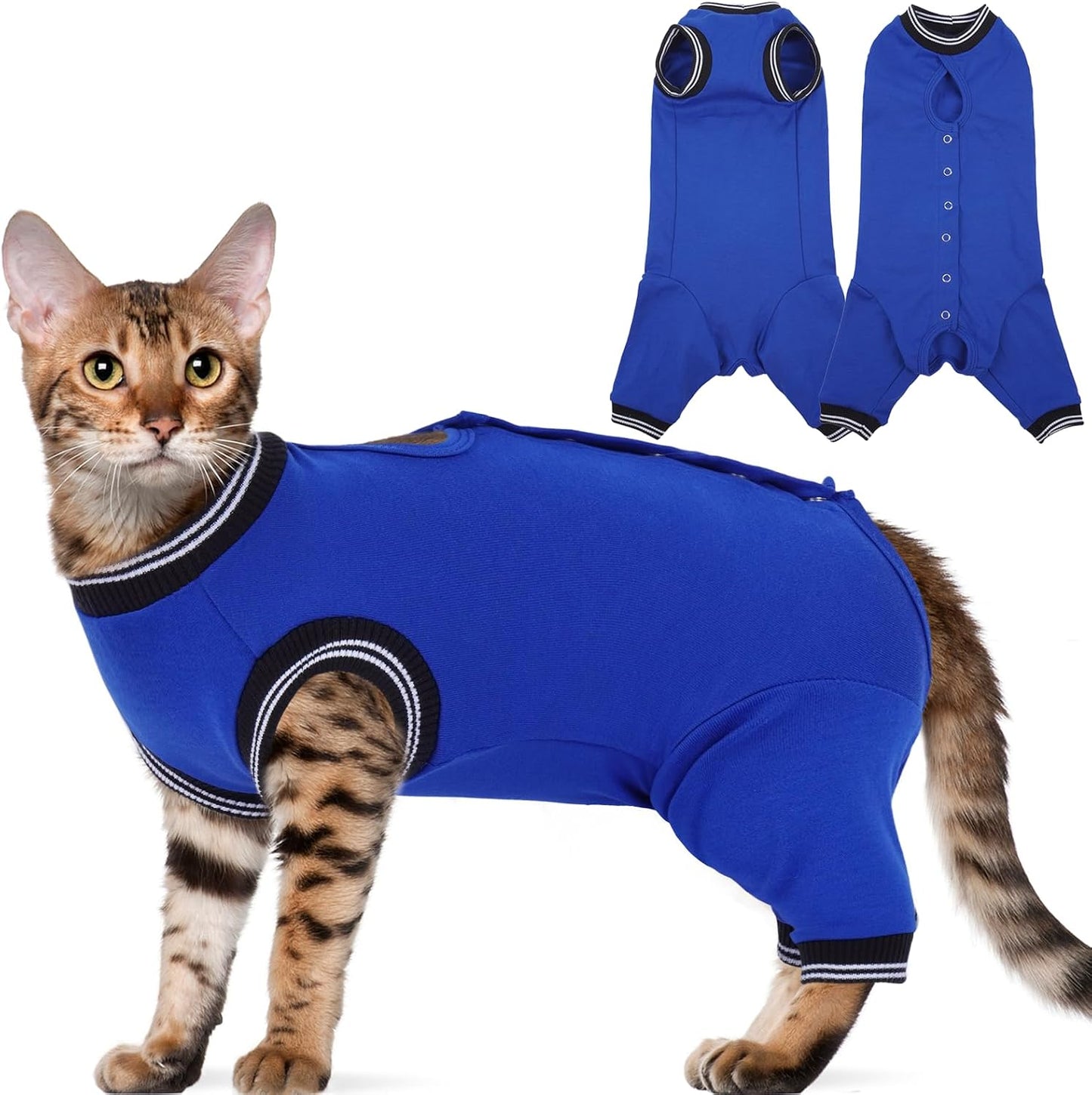 Yternal anti-lick recovery suit for female cats gray