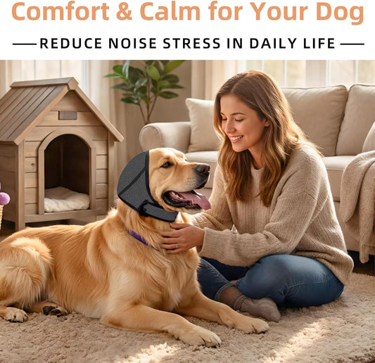 Novadex waterproof calming hoodie on a dog