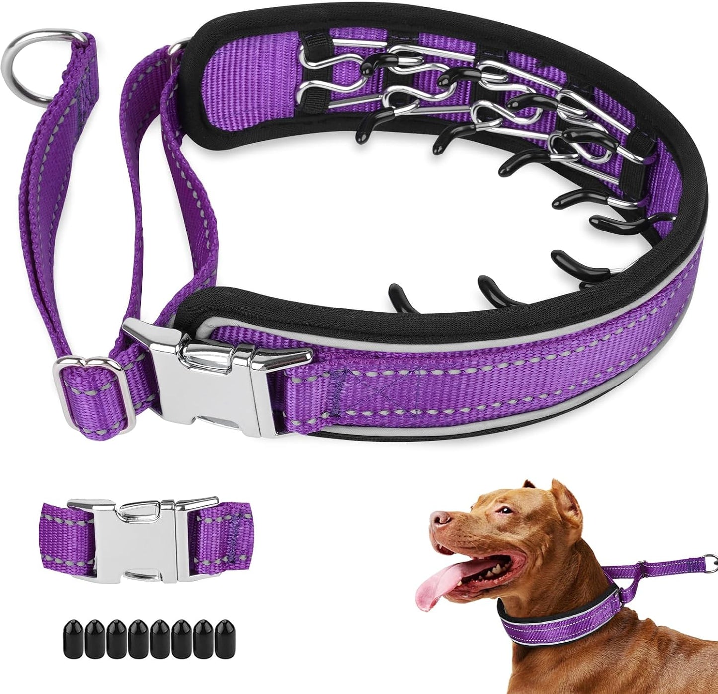 Mayerzon anti pull martingale style collar being unbuckled via the alloy metal closure.
