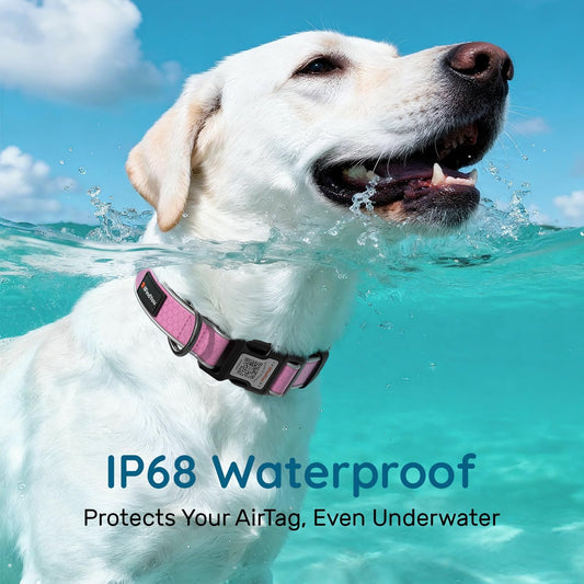ILFINDYOU smart dog collar displaying the unique scan to identify QR code tag