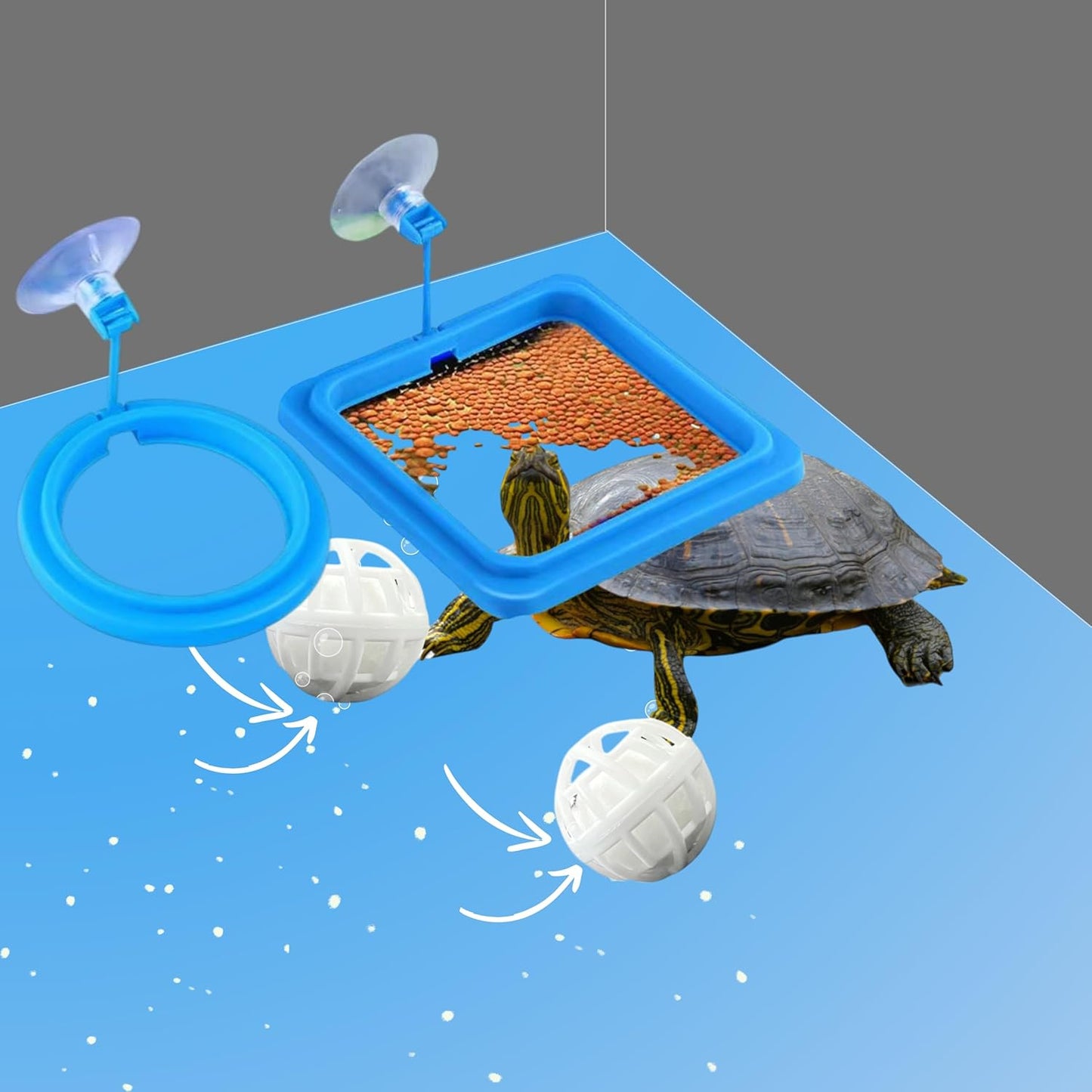 A floating square fish food holder ring separating food to prevent tank bullying.