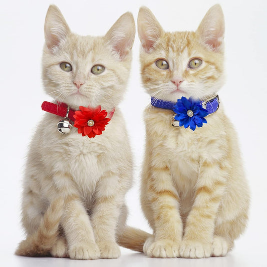 Multi-colored chiffon dog collar flowers for grooming