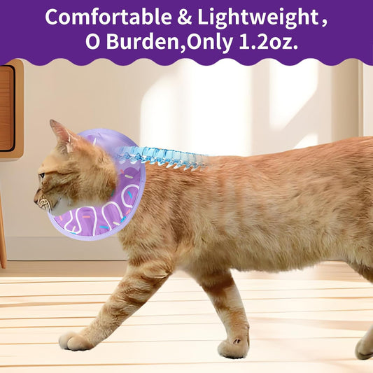 Soft donut shape pet cone collar on a kitten