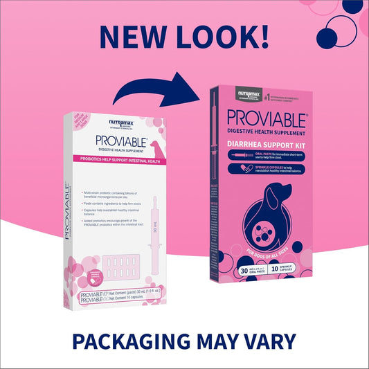 Nutramax digestive health supplement oral syringe and probiotic capsules for dogs.