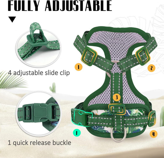Adjustable cat vest harness with four secure adjustment straps on a kitten