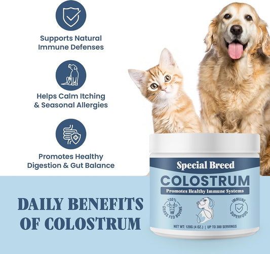 Special Breed grass fed colostrum powder for dog and cat allergy relief.
