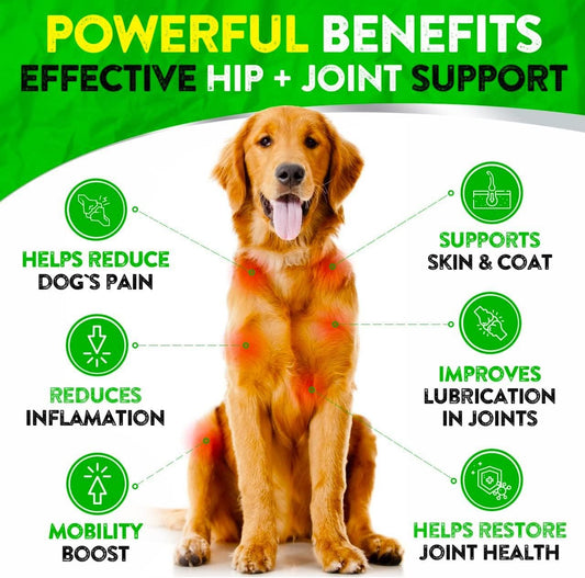 Furaland dog joint pain relief treats showing 170 soft chews count label