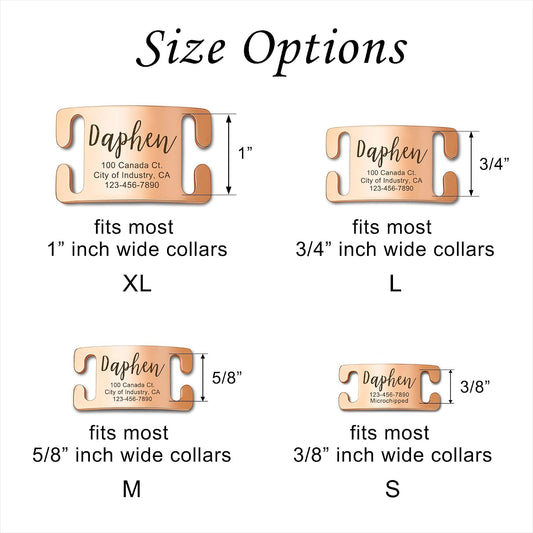 Custom engraved silver quiet dog collar nameplate showcasing clear personalized text details