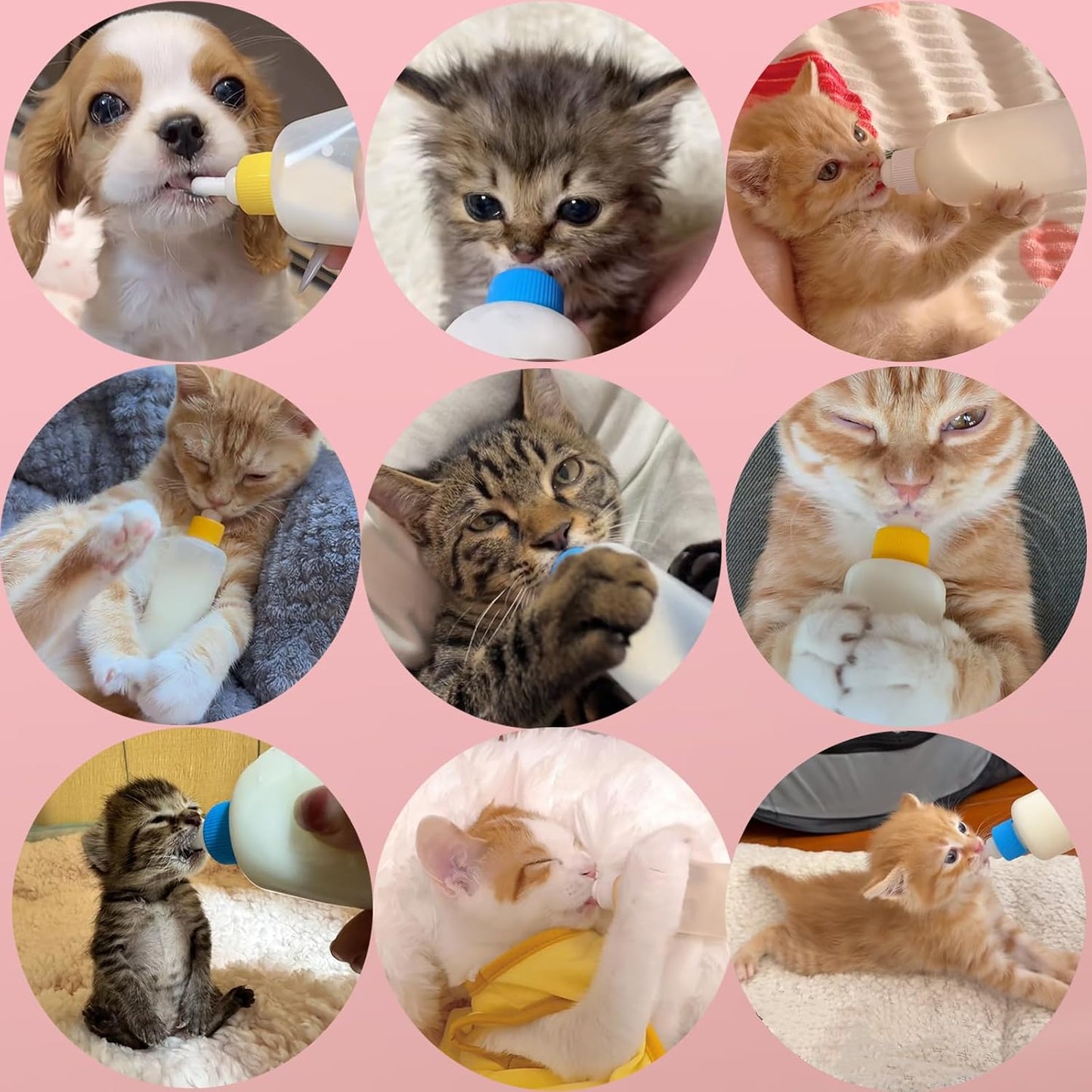 60ml Newborn Pet Feeding Bottle Kit | Puppy Kitten Nursing Bottles with 10 Silicone Nipples, Cleaning Brushes & Nipple Puncher | Anti-Choke Milk Feeder for Small Animals - Image 7