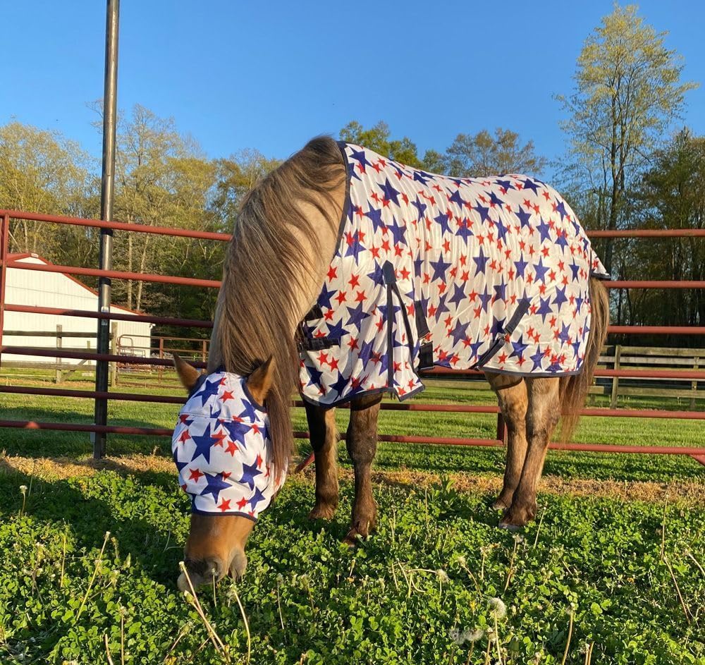 Full turnout view of the lightweight patriotic horse blanket with tail cover.