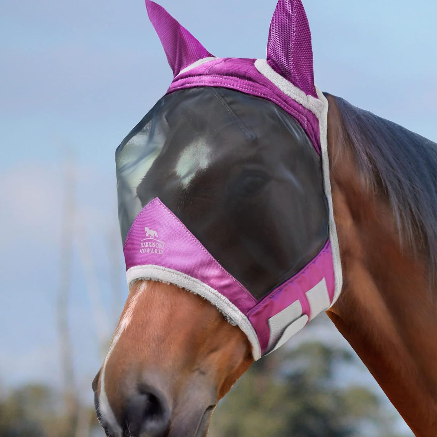 Harrison Howard CareMaster Pro Luminous Horse Fly Mask Large Eye Space Standard with Ears UV Protection for Horse Navy Full Size - Image 15