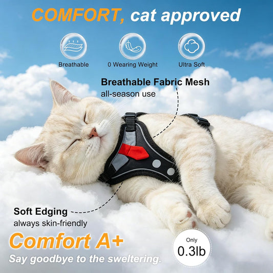 BEAUTYZOO adjustable kitten vest showing quick release buckles